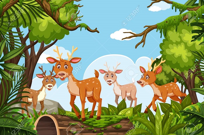 লক্ষ্মণ হৰিণাৰ কাহিনী