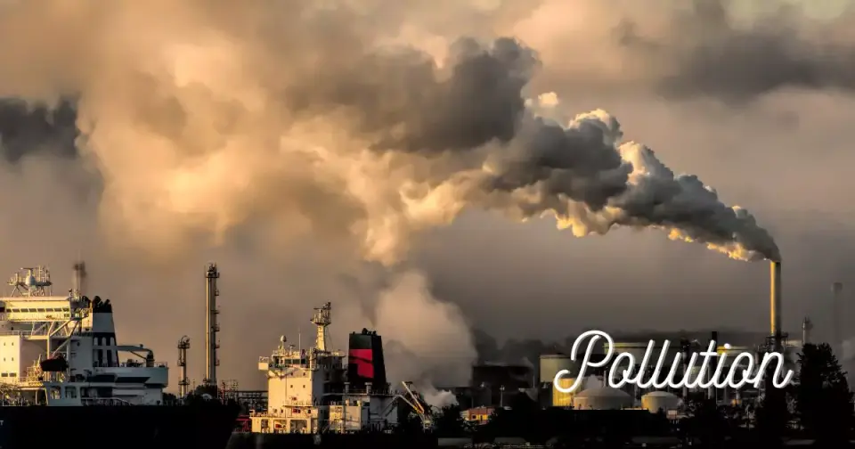 প্ৰদূষণ | pollution essay in assamese