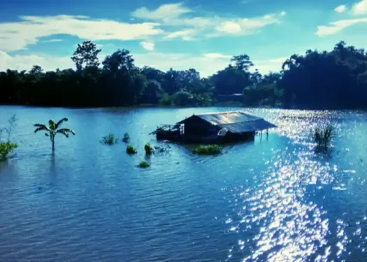 অসমৰ বানপানী সমস্যা-assam flood