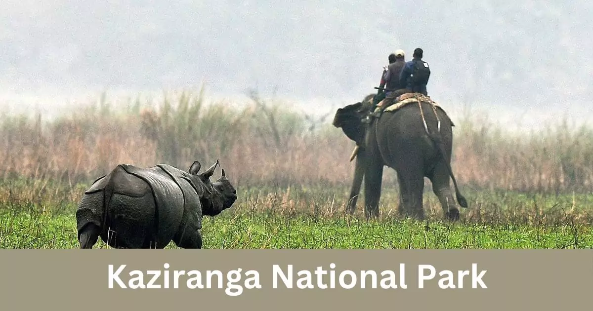 National park in assam