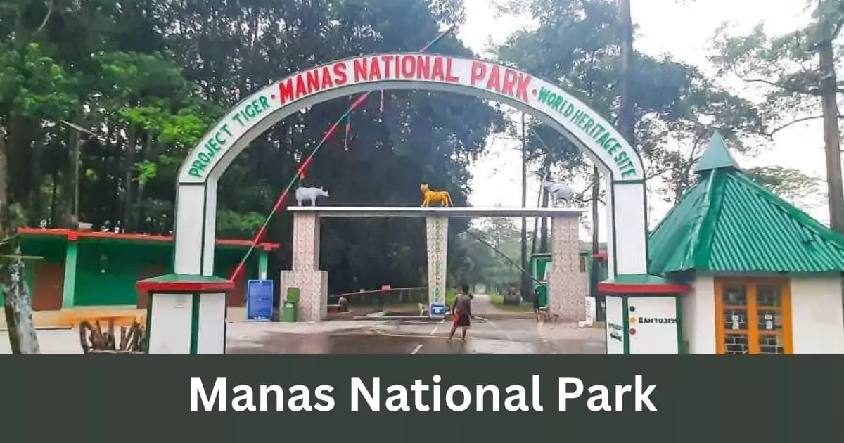 National park in assam