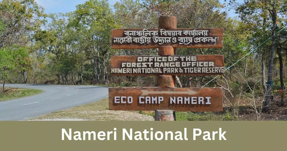 National park in assam