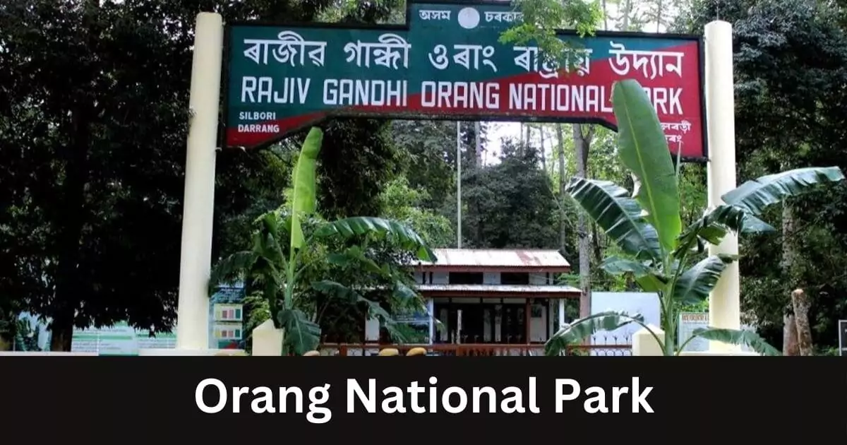 National park in assam