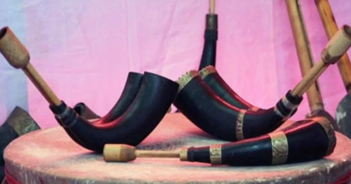 Folk musical instruments of assam