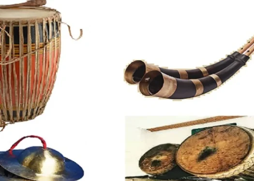 Folk musical instruments of assam