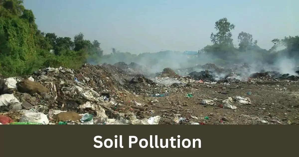 প্ৰদূষণ | pollution essay in assamese