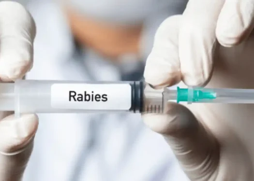 Rabies vaccine, ৰেবিজ